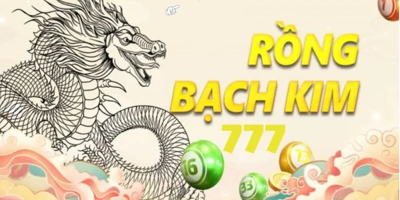 Đôi nét về sảnh soi cầu rồng bạch kim 777 